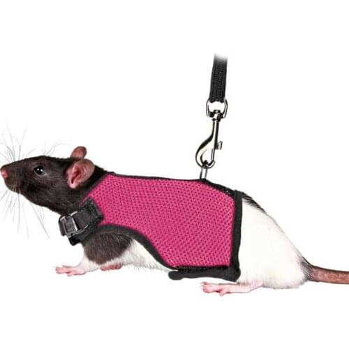 Hamster Rabbit Pet Harness with Lead Set Ferret Guinea Pig Small Animal Pet Walk Lead Leash Bunny Little Pets
