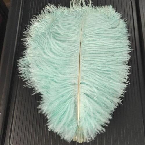 10pcs Beautiful Mint Green 30-35cm/12-14 inch Natural Ostrich Feathers Wedding Party Christmas Home Craft Accessories Decoration