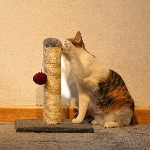 SMELL & SMILE Cat Scratching Posts