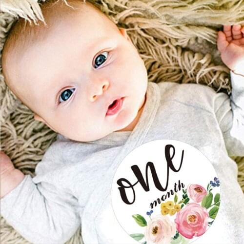 12 Pack Baby Monthly Stickers and Milestone Stickers Neutral Babys First Year Month