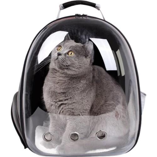 Wholesale Pet Panorama Transparent Capsule Out Backpack Portable cat Backpack Pet Cat Bag