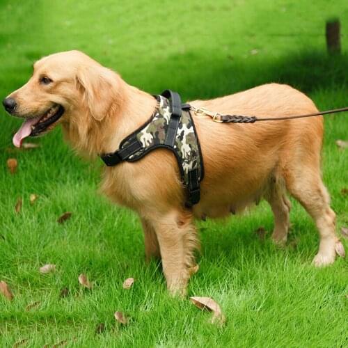 Small Medium Big Dog Harness Comfortable and Breathable O Style Strap Harness for All Breed Pets