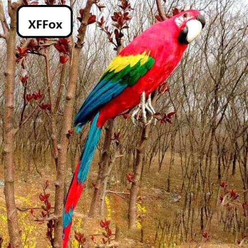 Big real life red parrot model foam&feather colourful parrot bird doll about 65cm xf1023