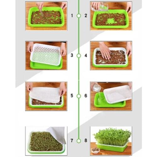 Seed Sprouter Tray BPA Free PP Soil-Free Wheatgrass Grower Lid Plate Hydroponic T8WB