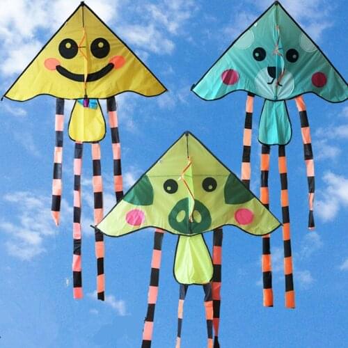Triangle Outdoor Sports Easy To Fly Easy To Carry Childrens Gifts Toys Cartoon Animal Children Kite Long Tail Single Line Kite