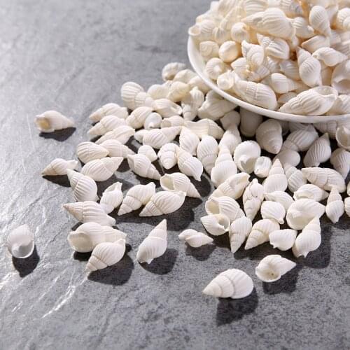 100PCS Natural conch shells Aquarium decoration Home Decor Natural Sea Beach Shell Conch Seashells For DIY Crafts or party decor