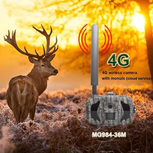 Bolyguard Hunting Cameras