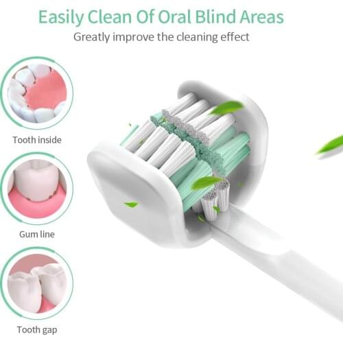 TackOre Toothbrush Heads