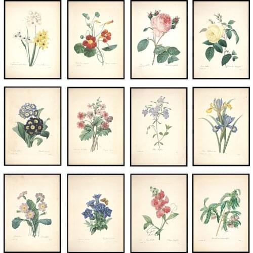 Botanical Studies Canvas Painting Posters and Prints French Plant Flowers Wall Art Picture for Living Room Home Decor Cuadros