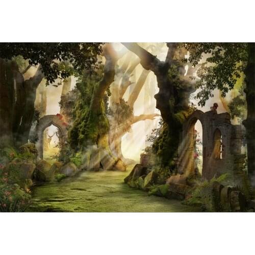 Fairytale Wonderland Forest Pathway Scenery Photography Backgrounds Customized Portrait Photographic Backdrops For Photo Studio