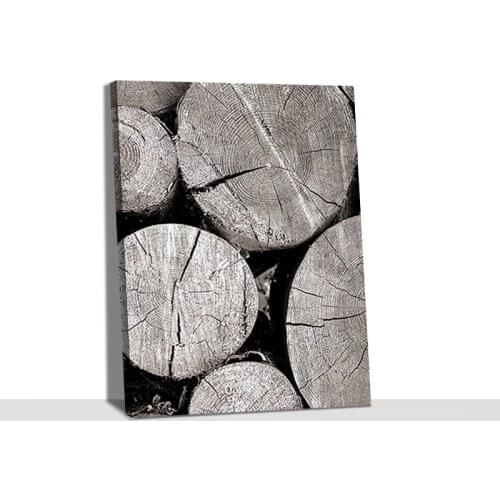 Paintings Wall Art Tree Black White Beautiful Gifts Canvas Modular Picture HD Print Posters No Frame For Living Room Home Decor