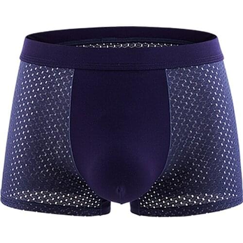 Sexy Underwear Mens Boxers Shorts Ice Silk Mesh Panties Man Solid Breathable Pouch Underpants Male Cueca Calzoncillo Large Size