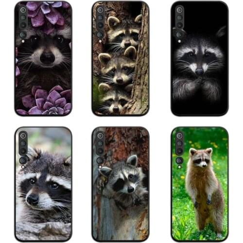Animal Raccoon Phone Case For Xiaomi Mi Note 10 Lite Mi 9T Pro xiaomi 10 CC9 9SE