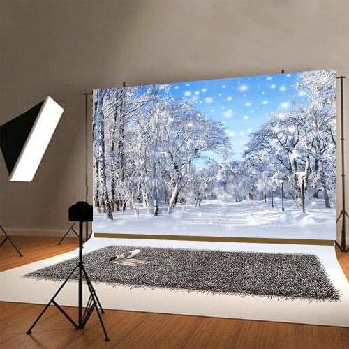 Beautiful Winter Snow Forest Blue Sky Backdrop Romantic Wedding Photo Studio Shoot Landscape Pictures Bride Custom Background