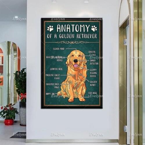 Anatomy Of A Golden Retriever Dog Lovers Poster Wall Art Print Home Living Decor Canvas Poster Unique Gift