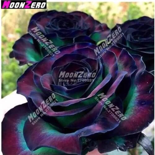 Diamond Embroidery Paintings Beautiful Flower Embroidered Rhinestones Full Square Crystal Purple Rose Mosaic Patterns