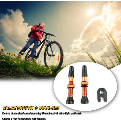 1 Pair 48mm Alloy Stem Presta Valve Tool for Road Mountain Bike Tubeless Tire Automobile Exterior Repair Components