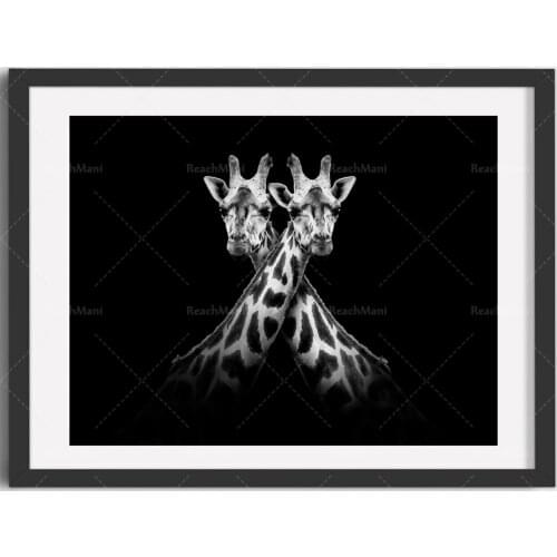 Canvas Nordic Black and White Giraffe Print | Fine Art Photography Print | Nature Print | Animal Print Decorative Poster
