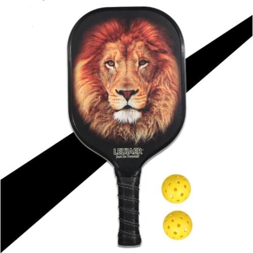 Pickleball Racket Set Carbon Fiber Composition PE Honeycomb Core 2 Pickleballs 2 Pickleball Paddle