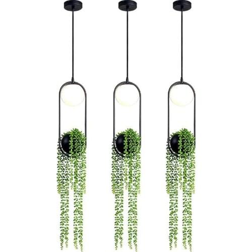 Nordic Plant Oval Black pendant lights LED Dining Room Living Room Bar Cafe Iron glass ball hanging lamps fixtures lighting