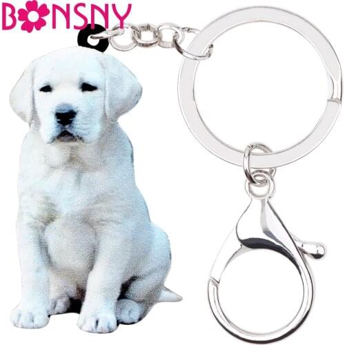 Bonsny Acrylic Labrador Dog Key Chain Keychains Holders Fashion Animal Jewelry For Women Girls Bag Car Wallet Charms Pendant Hot