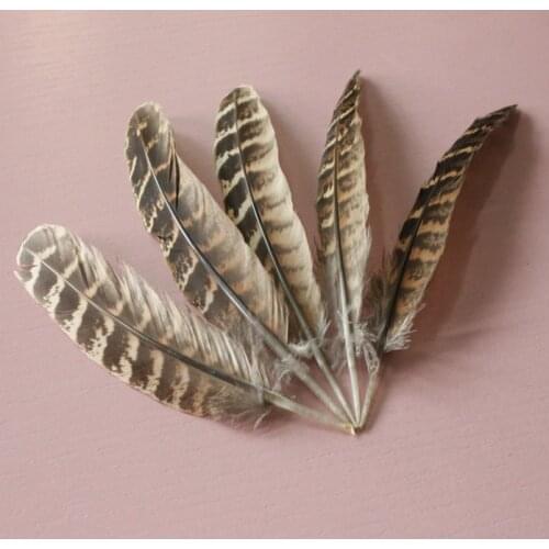 Wholesale 500 pcs pretty 10-15cm/4-6inch high quality natural pheasant feathers DIY decorative new