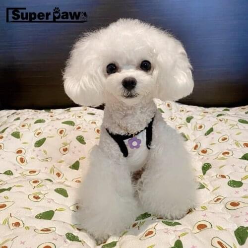 Fashion Summer Dog T-shirt Puppy Vest Clothes Clothing For Small Medium Dogs Schnauzer Chihuahua Pug Corgi Teddy Bichon GKC61