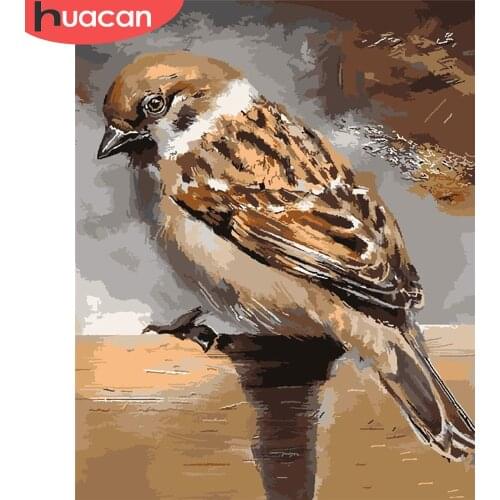 HUACAN Painting By Number Bird Drawing On Canvas Hand Painted Paintings Art Gift DIY Pictures By Numbers Animal Kits Home Decor