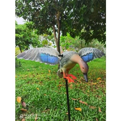 Xilei Gadwall Duck Hunting Motion Dceoy