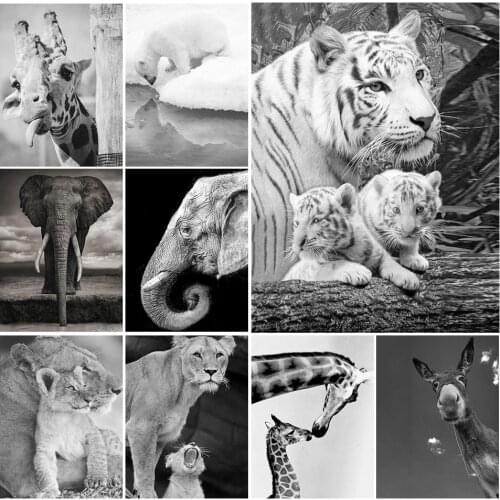 5D Diy Diamond Painting Full Square Black White Animals Diamond Embroidery Lion Tiger Mosaic Picture of Rhinestone Decor Gift