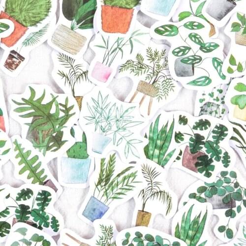 24Box Cactus Sticker Green Reward Student Stationery Label New DIY Diary Album adhesive Decorative Wholesale
