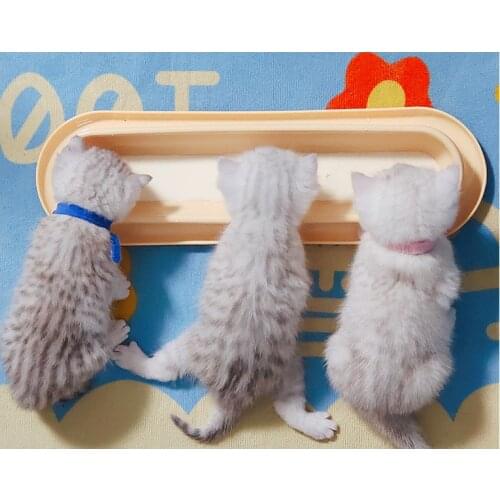 Long Cat Bowl Non-Slip Multi-Cat Food Utensils Neck Guard Oblique Mouth Cat Food Bowl Pet Bowl Kitten Pet Supplies
