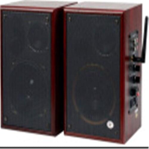 HQ510 multimedia 2.4G wireless active speaker