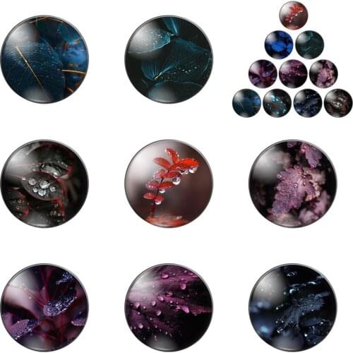 Natures Leaves Drops of Water 12mm/20mm/25mm/30mm Round Photo Glass Cabochon Demo Flat Back Making Findings