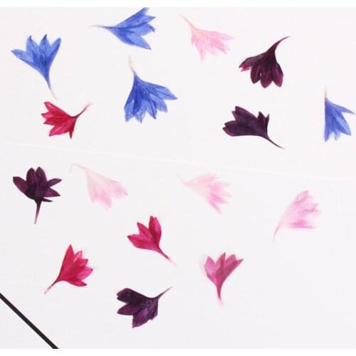 20Pcs Dried Flower Natural Decorative Dried Flowers Cornflower DIY Craft Room Decoration Resin Nail Candle Phone Decor