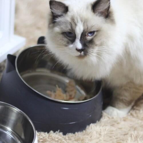 Cat Dog Bowl Stainless Steel 15 Degrees Raised Elevated Safeguard Neck Overturn Prevention Large Size Pet Feeder 400ml 800ml