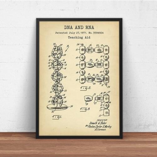 Human DNA and RNA Teaching Aid Patent Poster Genetics Gift Science Painting Decor Biology Wall Art Canvas Print Medical Student