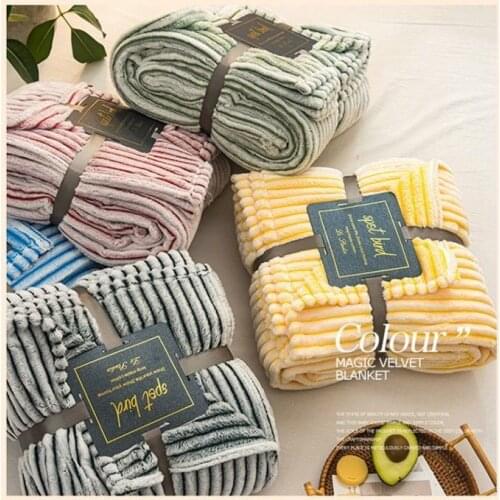 Summer Air Conditioner Thick Coral Fleece Blanket Flannel Warm Dormitory Bed Sheet Office Nap Blanket Quilting
