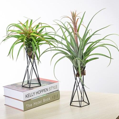 Nordic Style Iron Tillandsia Holder Flower Pots Stand Geometric Air Plant Holder for Indoor Outdoor Table Home Garden Ornaments