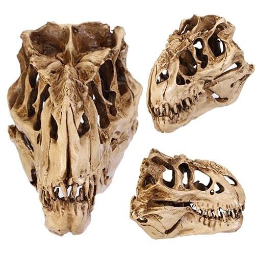 Resin Dinosaur Skull Fossil Teaching Skeleton Model Halloween Festival Decor