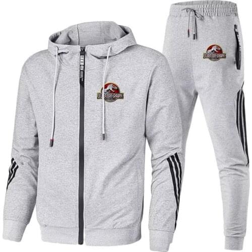 Jurassic New Striped Polyester Zipper Suit Solid Color Sports Suit Mens Hooded Sweater Mens Sportswear Casual Wear 2-piece Set