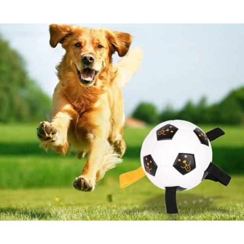 JETTING Dog Toys