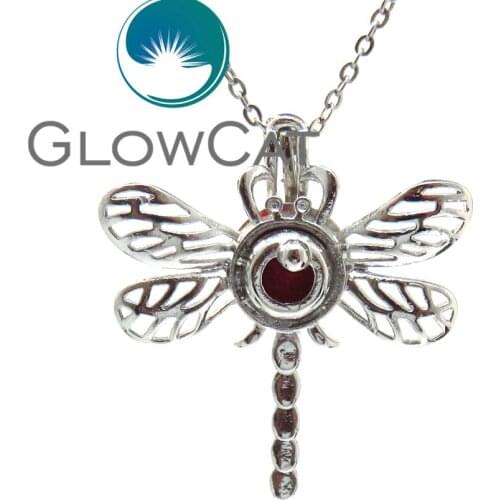 KK576 Copper Dragonfly Beads Cage Locket Fragrance Essential Oil Diffuser Oyster Pearl Cage Pendants Necklaces 18'' Steel Chain