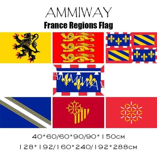 AMMIWAY France Generic Nord Pas de Calais Haute Normandie Bourgogne Champagne Ardenne Languedoc Roussillon French Flags Banners