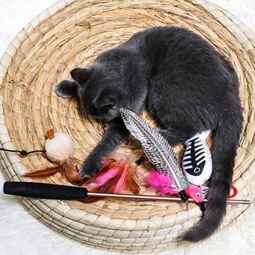 3/5 Pcs Teaser Cat Wand Toy With Funny Interactive Feather Replacements With Bell Pets Cat Funny Interactive Toy Set Supply Toys