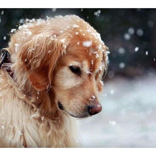 Full Square Round Drill 5D DIY Diamond Embroidery Dog Animal Cross Stitch Rhinestone Mosaic Painting Handmade Gift