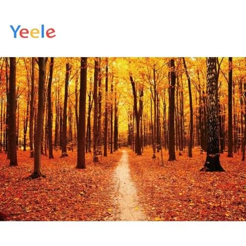 Autumn Tree Yellow Leaves Forest Backdrop Nature Scenery Vinyl Photography Background For Photo Studio Photophone Photocall