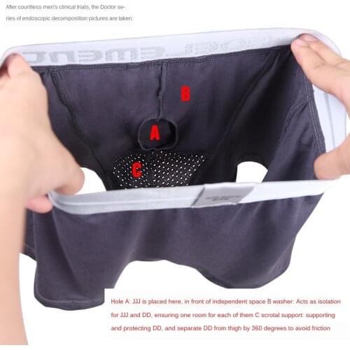 Mens Bullet Separation Underwear Scrotum Support Bag Physiological Health Boxer Modal U Convex Separation Boxer
