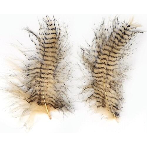 High quality eagle feathers 12-14cm/12--14inches Christmas carnival For Home Wedding DIY plumas