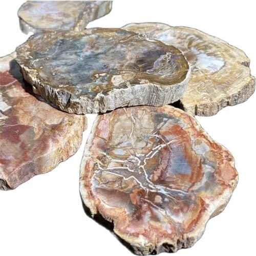 100-1000g Natural Crystal Woodstone Fossil Tree For Coaster Home Decoration Wooden Cup Cushion